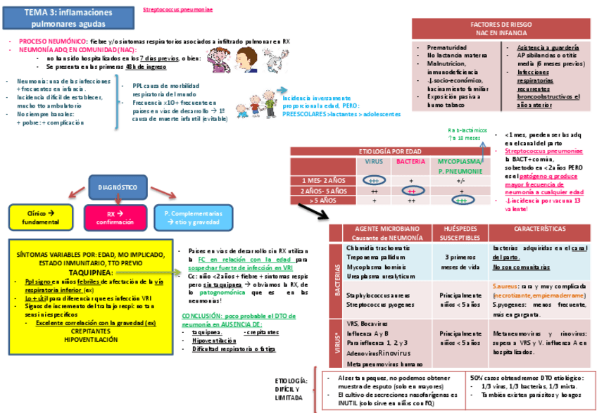 Miniatura del documento Tema 3 Inflamaciones pulmonares agudas.pdf