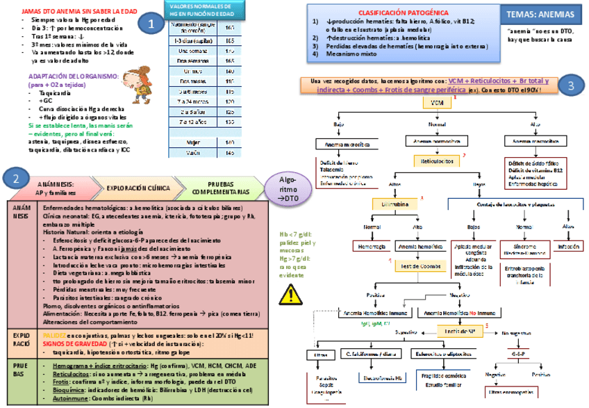 Miniatura del documento Tema 5 Anemias.pdf