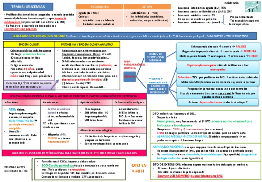 Miniatura del documento Tema 6 leucemias infantiles.pdf