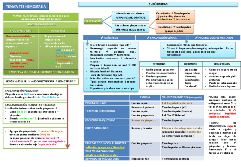 Miniatura del documento Tema 7 Tts hemostasia y coagulación.pdf