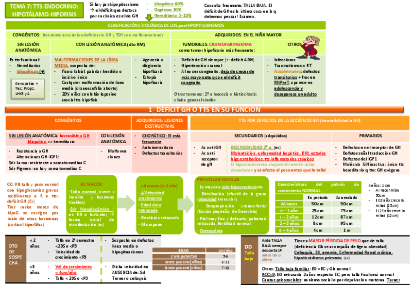 Miniatura del documento Tema 8 Endocrino.pdf