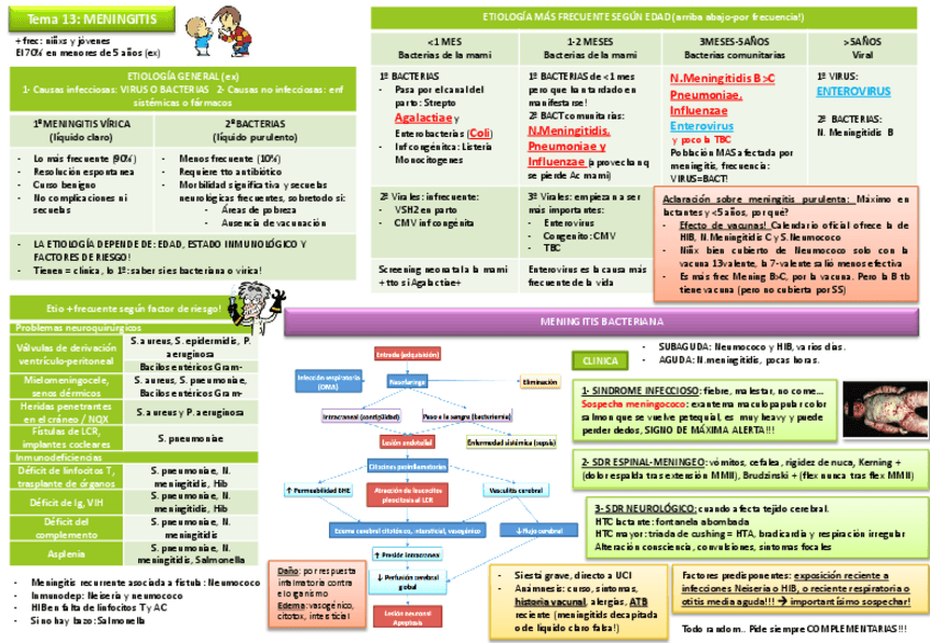 Miniatura del documento Tema 13 meningitis.pdf