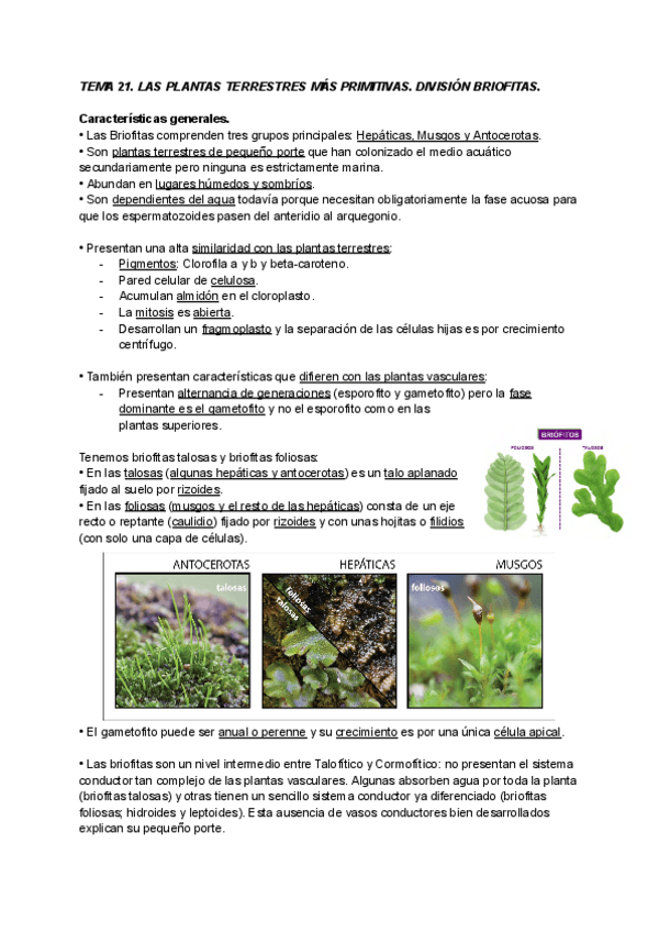 Miniatura del documento TEMA-21-BOTANICA.pdf