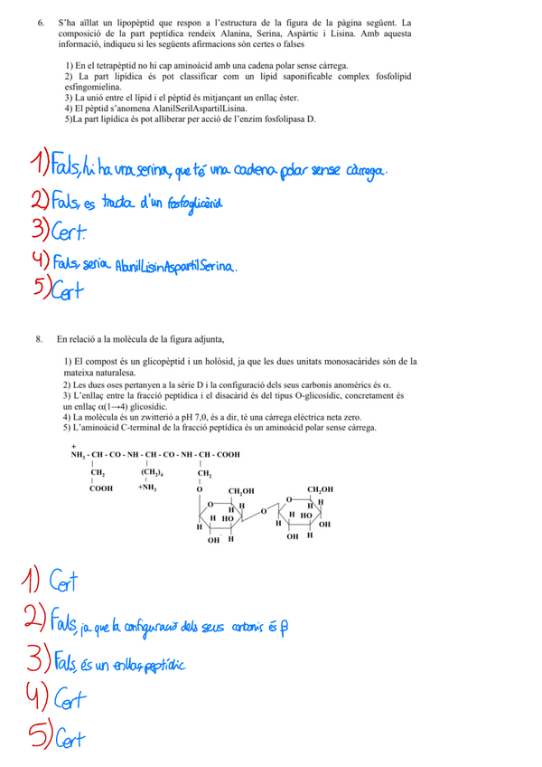 Miniatura del documento Quimica-Tema-9-Tasca-Biomolecules.pdf