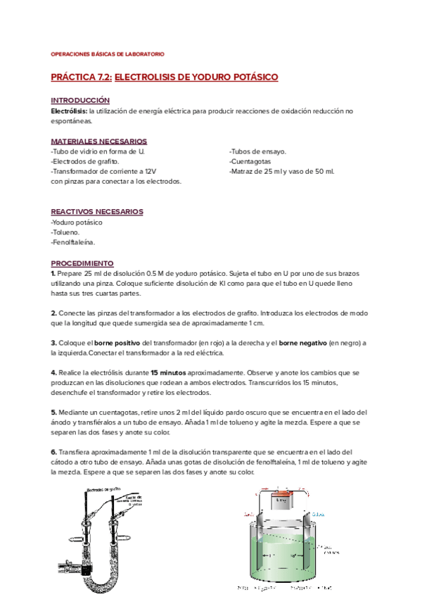 Miniatura del documento PRACTICA-7.2-ELECTROLISIS-DE-YODURO-POTASICO.pdf
