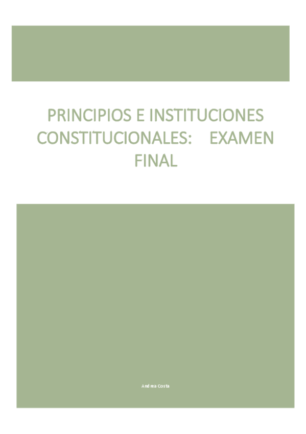 Miniatura del documento CONSTITUCIONAL-TODO-FINAL.pdf