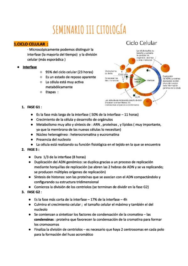 Miniatura del documento APUNTES-SEMINARIO-III-CITOLOGIA-2324.pdf