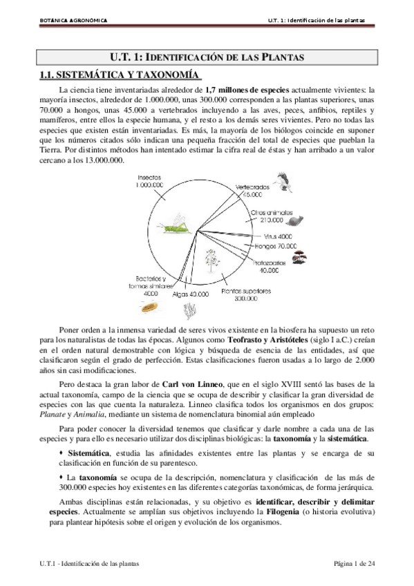 Miniatura del documento Identificacion-plantas.doc