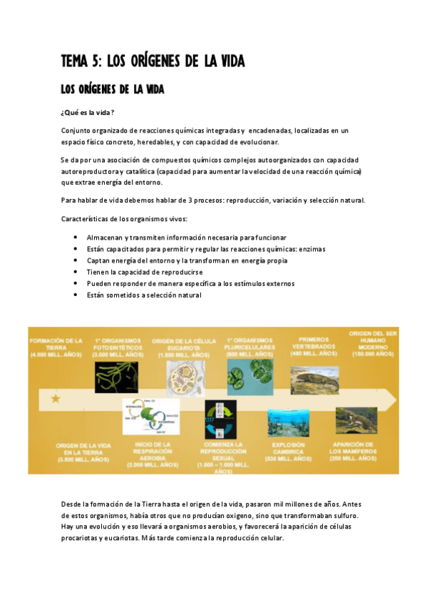 Miniatura del documento 4.-psicobg-candela-evolucion-temas-5-y-6.pdf