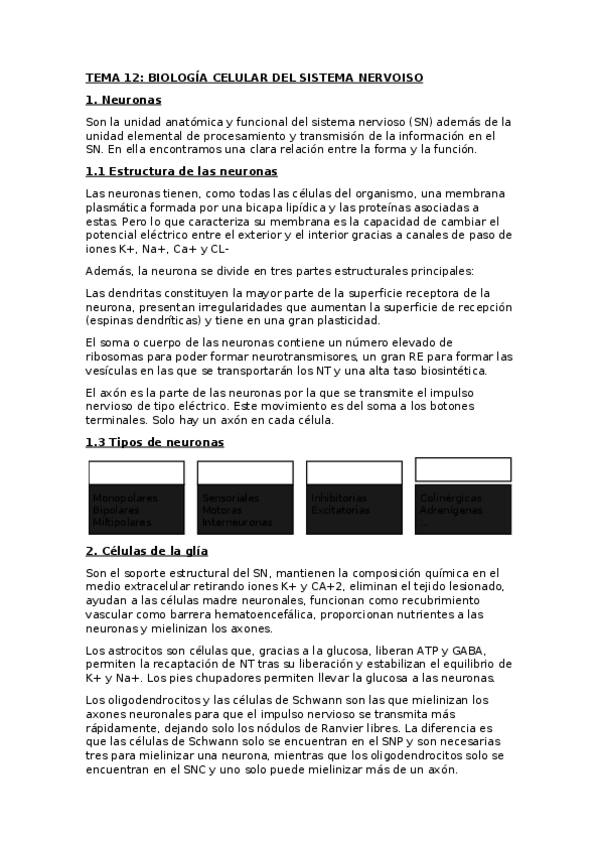 Miniatura del documento Bloque-5.docx