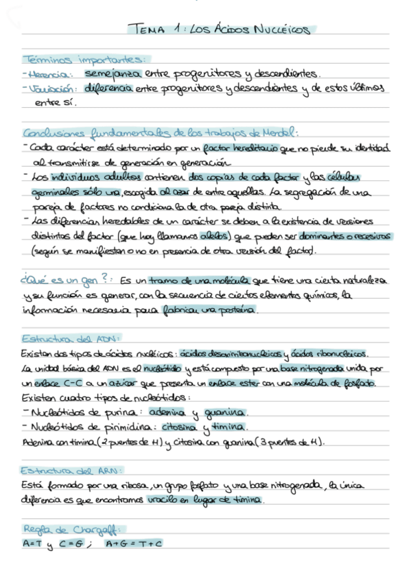 Miniatura del documento Apuntes-2021-genetica-molecular.pdf