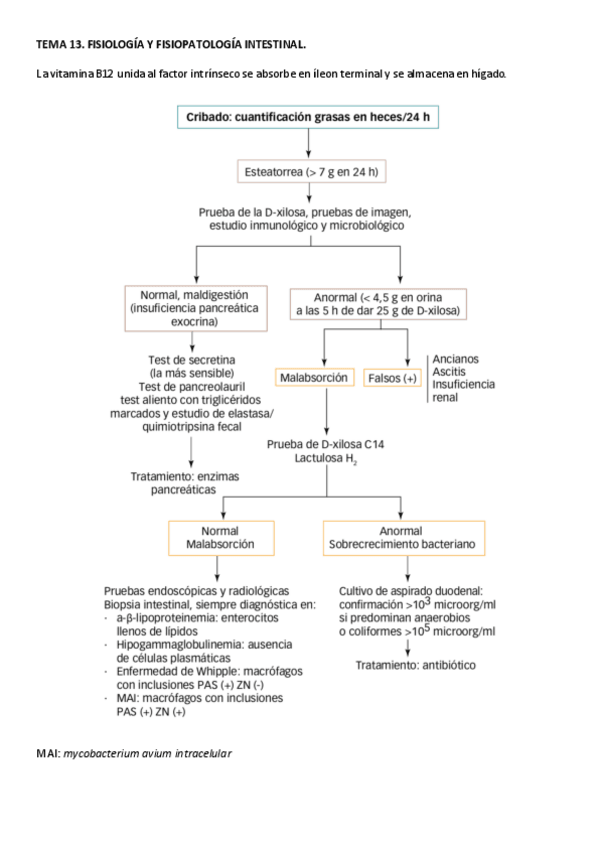 Miniatura del documento T13-Fisiologia-y-fisiopatologia-intestino.pdf
