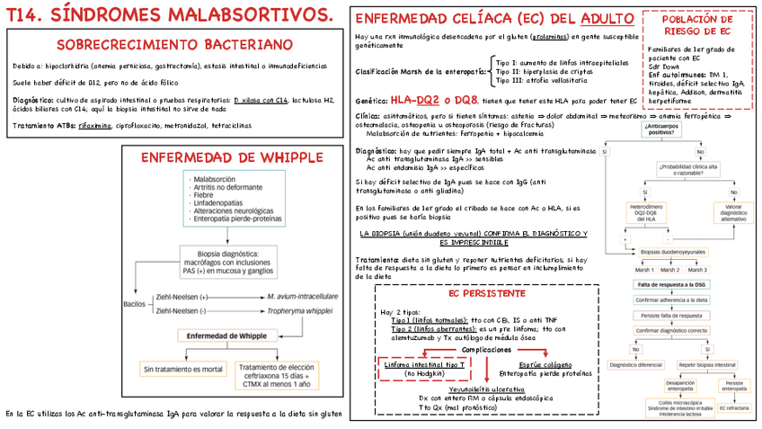 Miniatura del documento T14-Malabsorcion.pdf