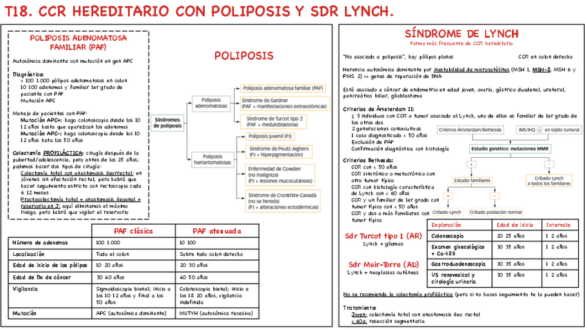 Miniatura del documento T18-CCR-hereditario-con-poliposis-y-sdr-Lynch.pdf