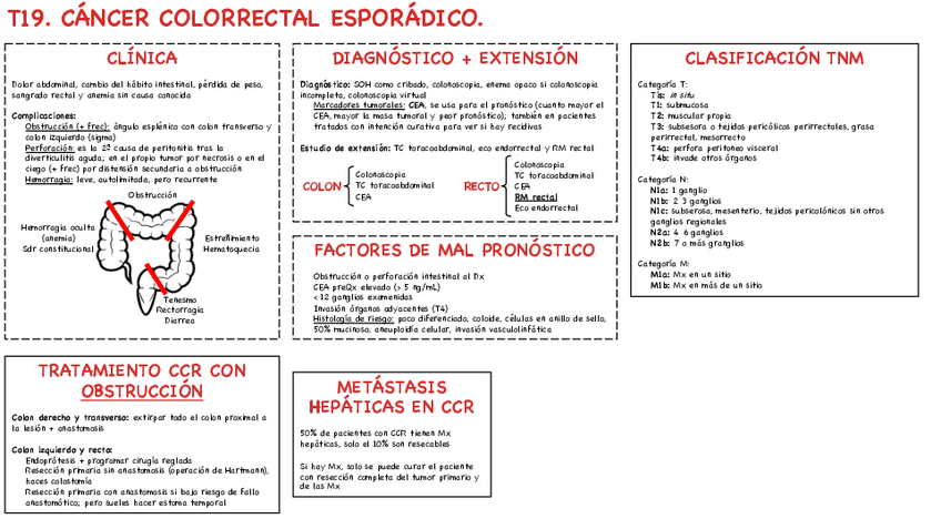 Miniatura del documento T19-CCR-esporadico.pdf
