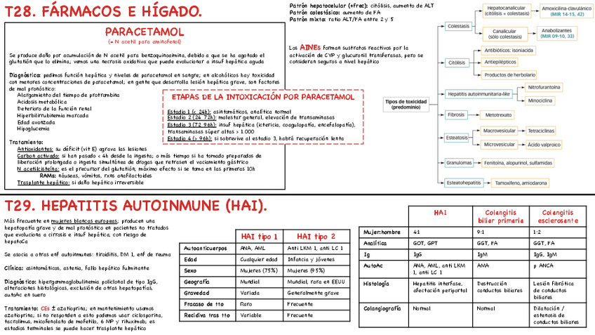 Miniatura del documento T28-y-29-Farmacos-e-higado-y-hepatitis-autoinmune.pdf
