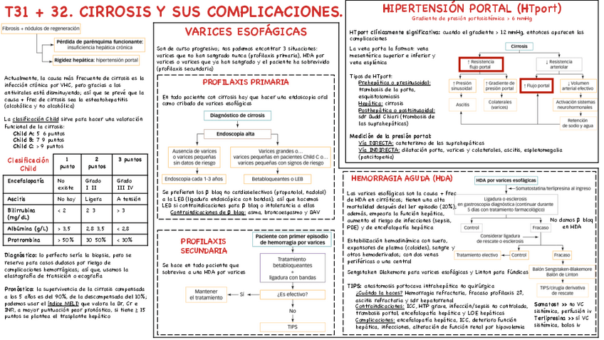 Miniatura del documento T31-y-32-Cirrosis-y-sus-complicaciones.pdf