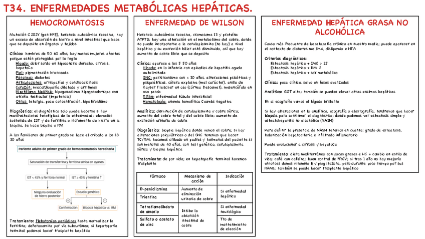Miniatura del documento T34-Enf-metabolicas-hepaticas.pdf