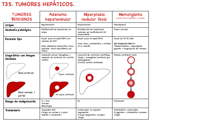 Miniatura del documento T35-Tumores-hepaticos.pdf