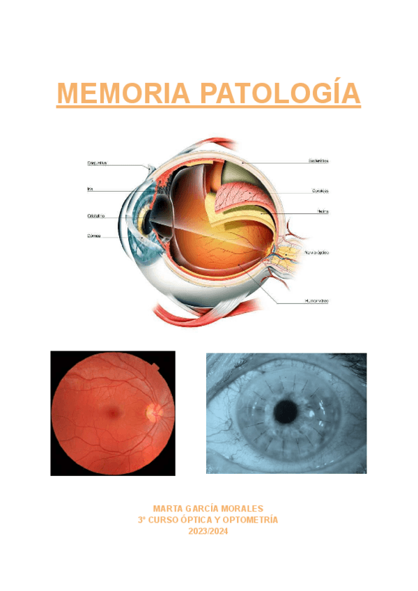 Miniatura del documento MEMORIA-PATOLOGIAcompressed.pdf