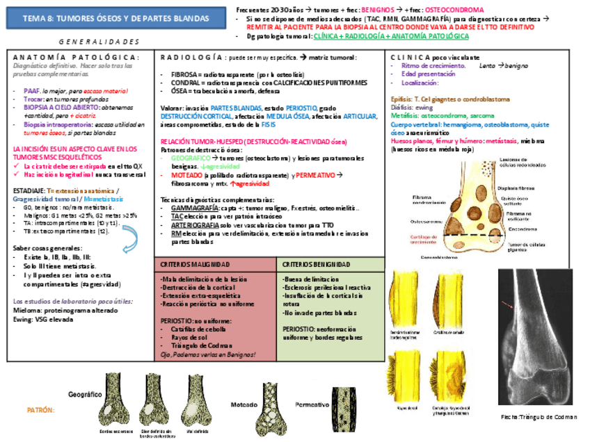Miniatura del documento tema 8 tumors.pdf