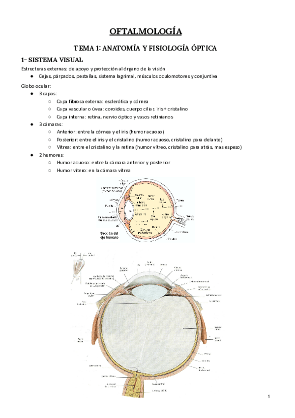 Miniatura del documento OFTALMOLOGIA.pdf