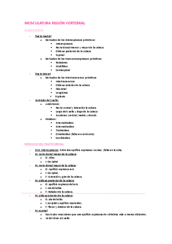 Miniatura del documento 5REGION-CERVICAL.pdf