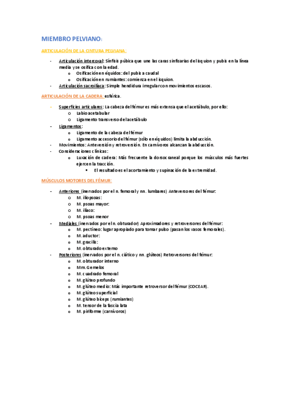 Miniatura del documento 9MIEMBRO-PELVIANO.pdf