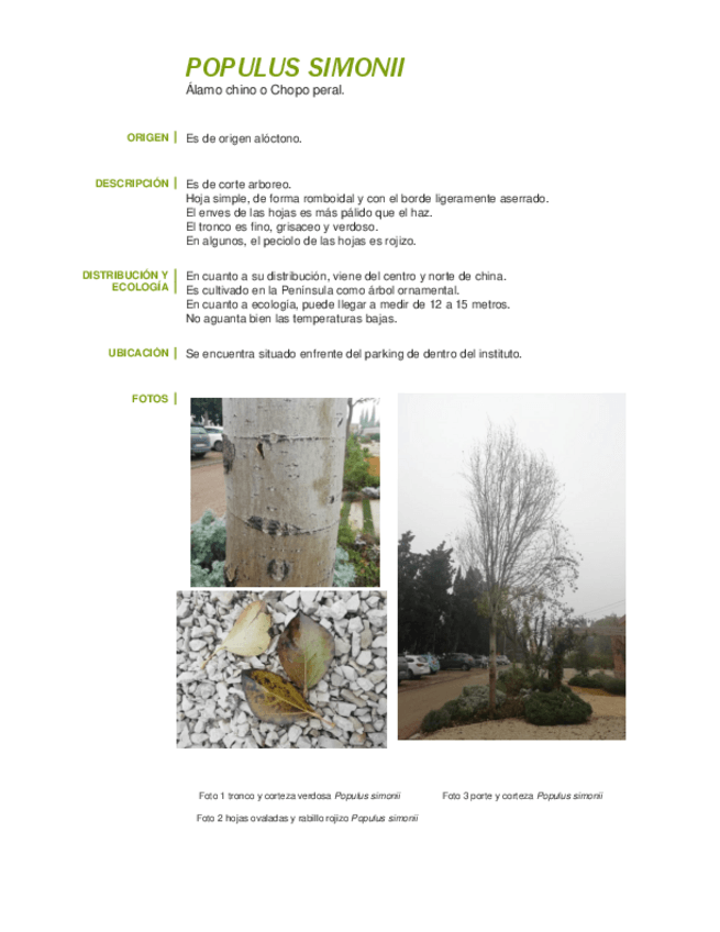 Miniatura del documento FICHAS-BOTANICA-1.pdf