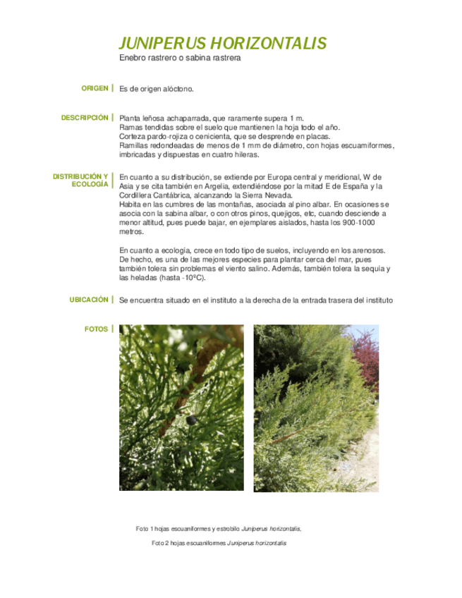 Miniatura del documento FICHAS-BOTANICA-2.pdf