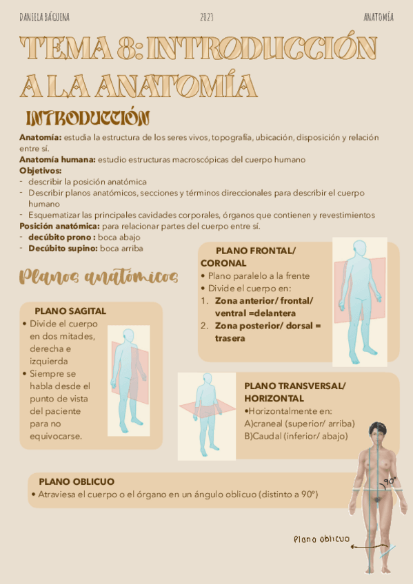 Miniatura del documento Tema-8.-Introduccion-a-la-anatomia.pdf