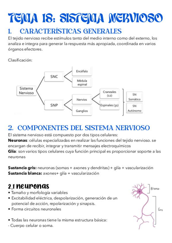 Miniatura del documento Tema-18.-Sistema-nervioso.pdf