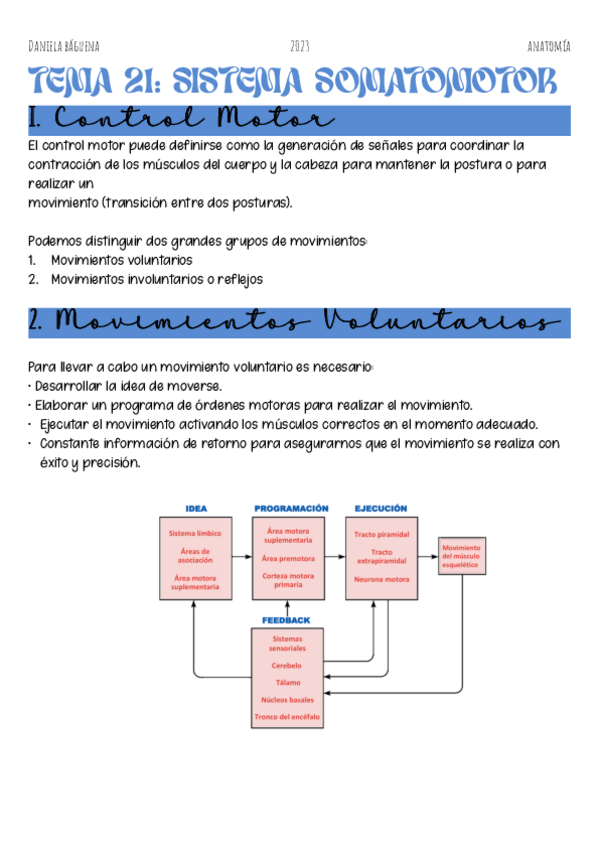 Miniatura del documento Tema-21.-Sistema-somamotor.pdf