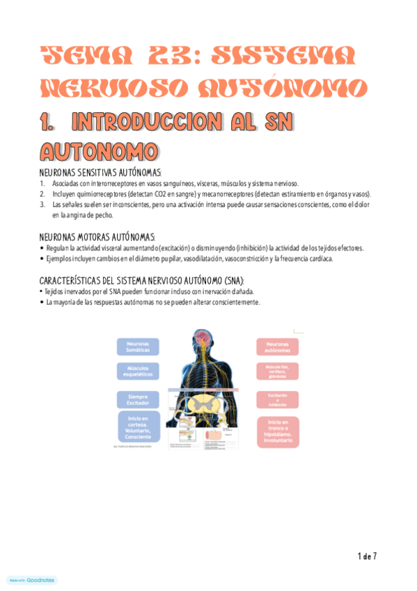 Miniatura del documento tema-23.-sistema-nervioso-autonomo.pdf