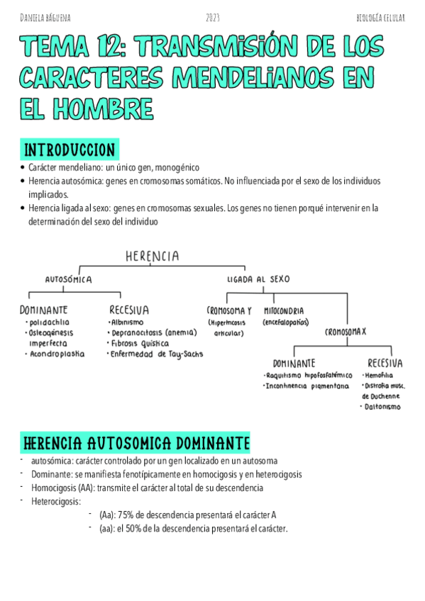 Miniatura del documento Tema-12.-Transmision-de-los-caracteres-mendelianos-en-el-hombre.pdf