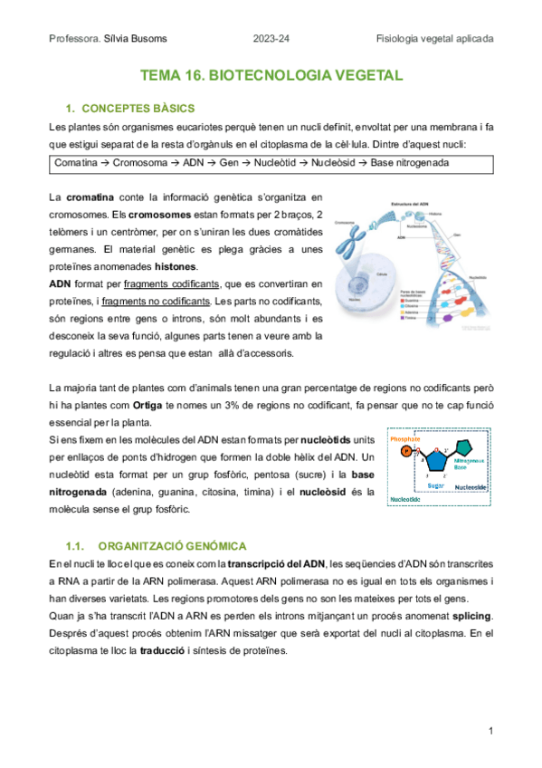 Miniatura del documento FV.-TEMA-16.-BIOTECNOLOGIA-VEGETAL.pdf