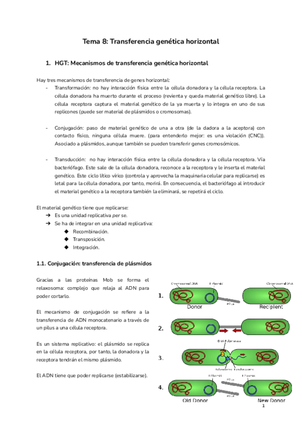 Miniatura del documento Tema-8-Transferencia-genetica-horizontal.pdf