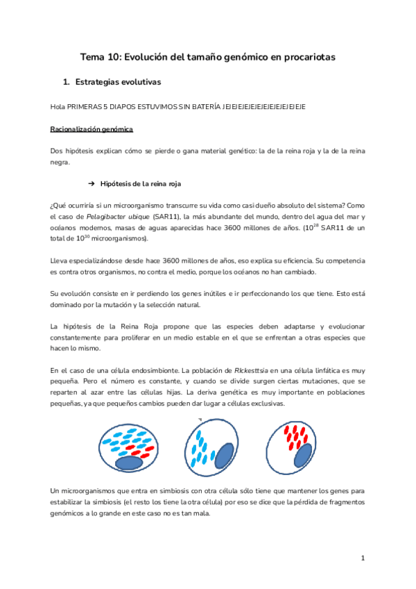 Miniatura del documento Tema-10-Evolucion-del-tamano-genomico-en-procariotas.pdf