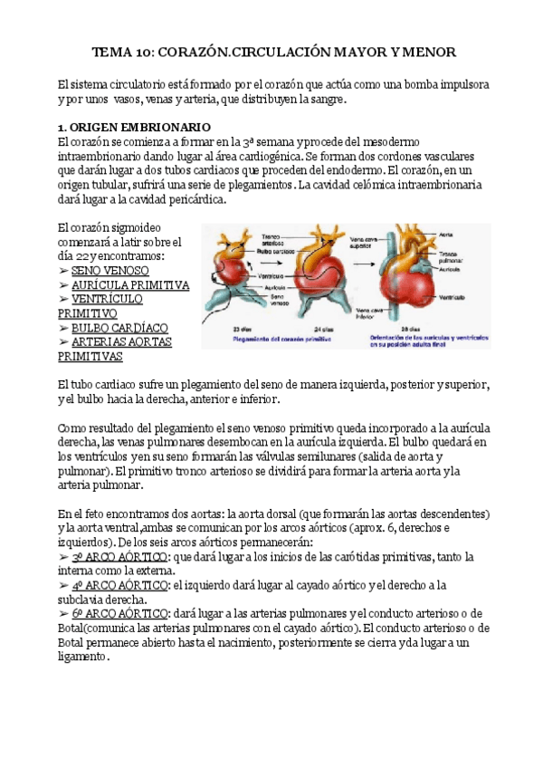 Miniatura del documento TEMA-10-CORAZON.pdf