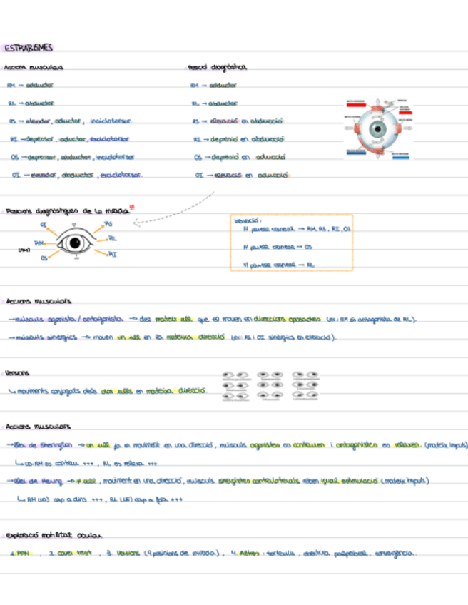 Miniatura del documento Tema-23Estrabismes.pdf