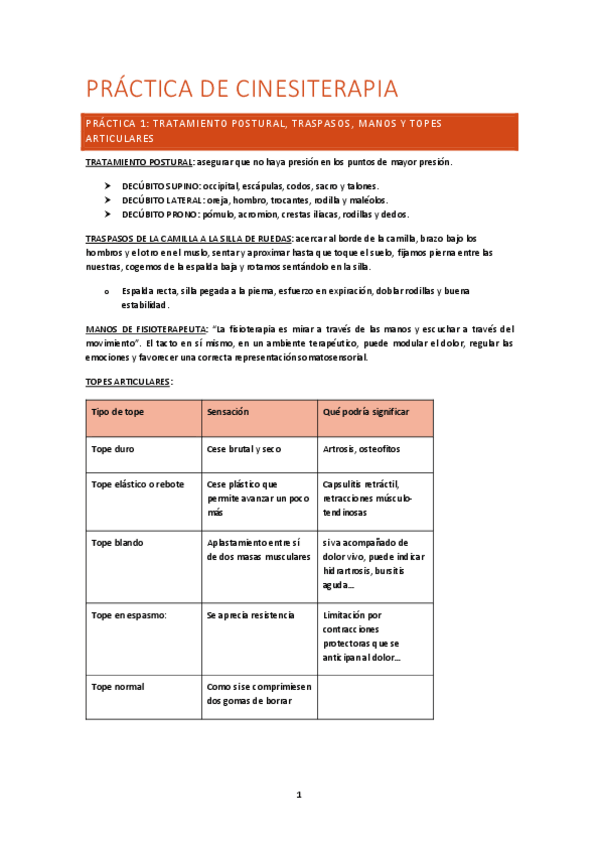 Miniatura del documento PRACTICA-CIN.pdf