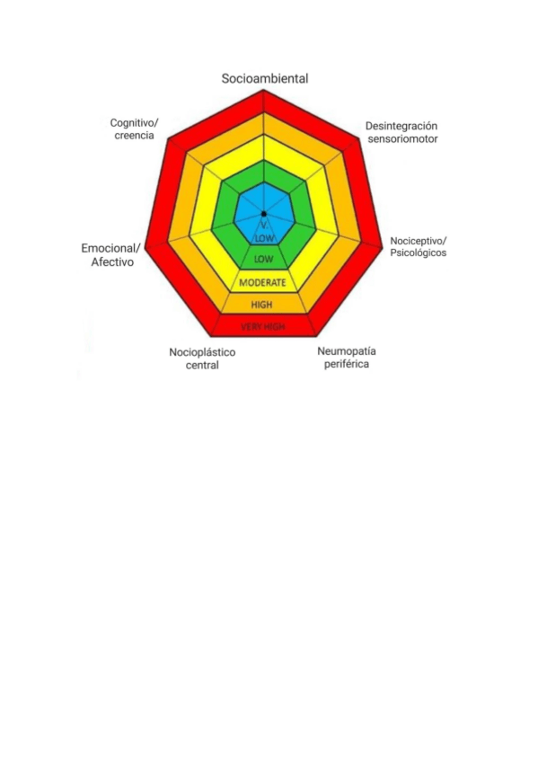Miniatura del documento Biopsicosocial-cuadro.pdf