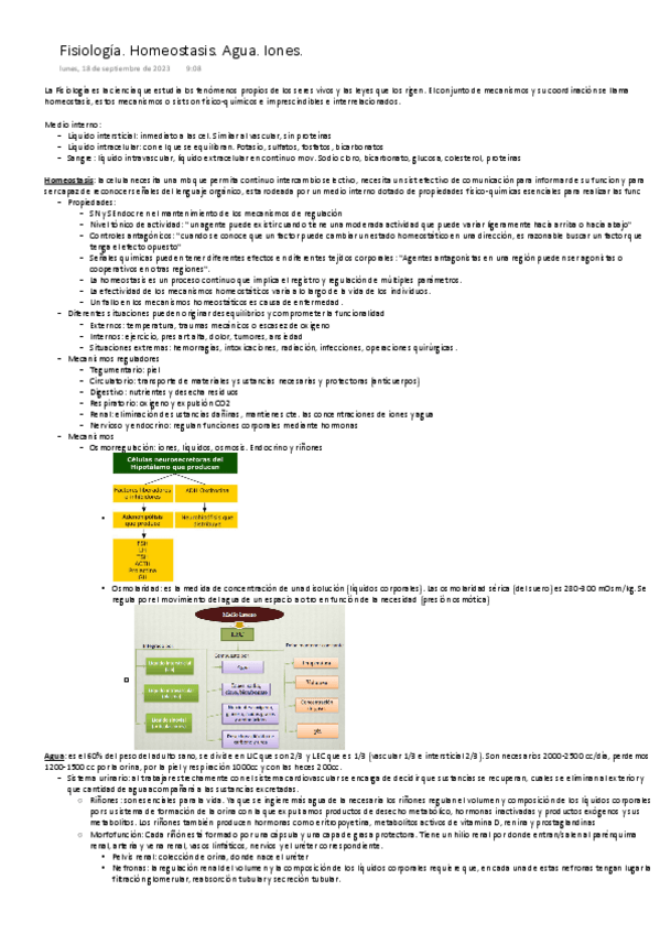 Miniatura del documento Fisiologia.-Homeostasis.-Agua.-Iones.-ONE-NOTE.pdf