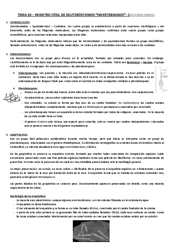 Miniatura del documento TEMA-10-paleo.pdf