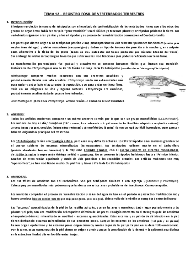 Miniatura del documento TEMA-12-paleo.pdf