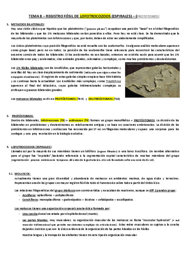 Miniatura del documento TEMA-8-paleo.pdf