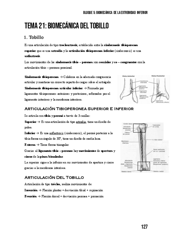 Miniatura del documento Tema-21-Biomecanica-Del-Tobillo.pdf