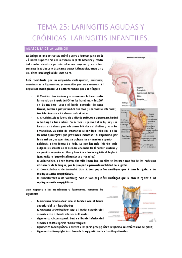Miniatura del documento 25-LARINGITIS-AGUDAS-Y-CRONICAS.-LARINGITIS-INFANTILES.pdf