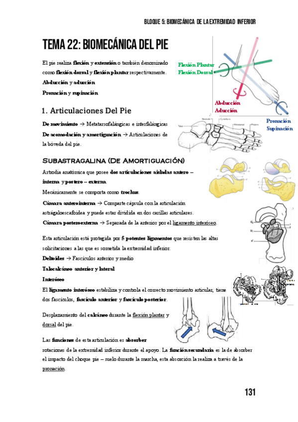 Miniatura del documento Tema-22-Biomecanica-Del-Pie.pdf