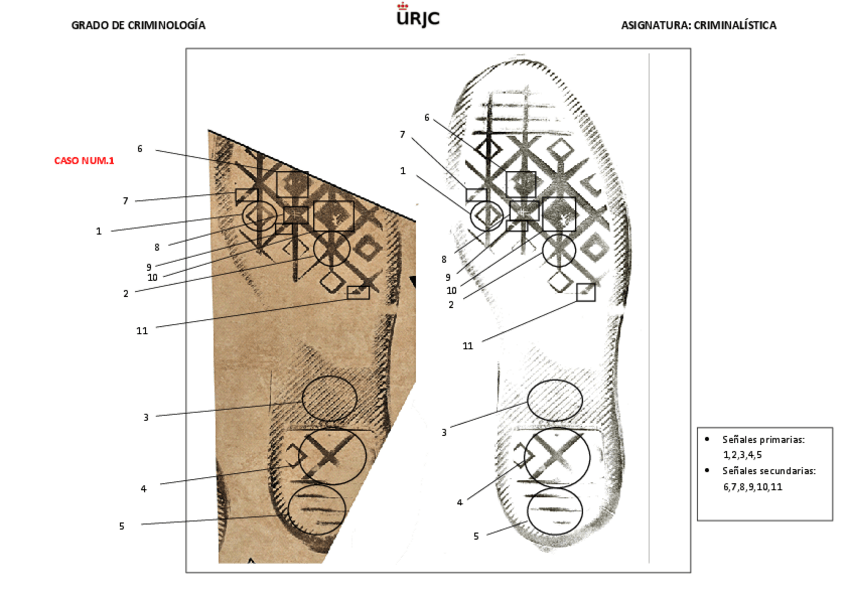 Miniatura del documento HOJA-COMPARATIVA-HUELLA-CALZADO-v2.pdf